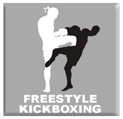 Freestyle Kickboxing